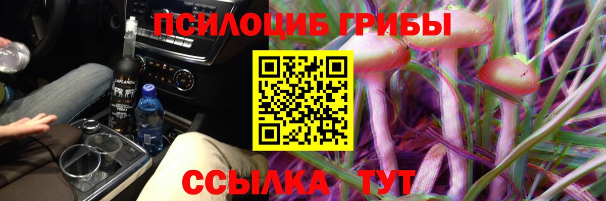 Псилоцибиновые грибы Psilocybine cubensis  Вход с VPN  Мариинск 